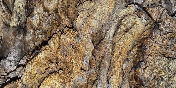 Grutas do Cavalum - lavas pahoehoe © Brum da Silveira