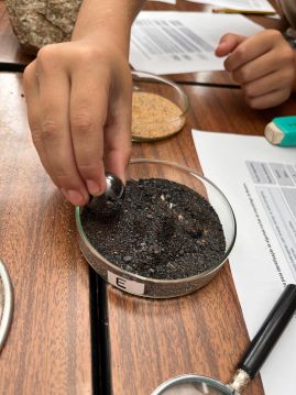 Rochas Santa Teresinha