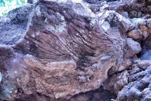 Grutas do Cavalum - lavas pahoehoe © Brum da Silveira
