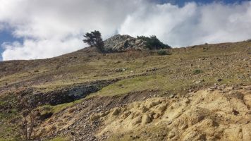 Pico da Cabrita  ©Raquel Ferreira