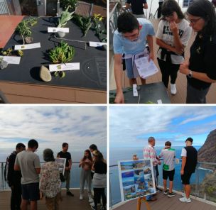 Captura de ecrã 2025 10 30 às 10.29.51